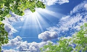 ДТДМ  приглашает 29 января