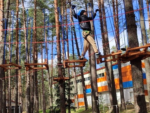2024 год