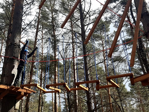 2024 год